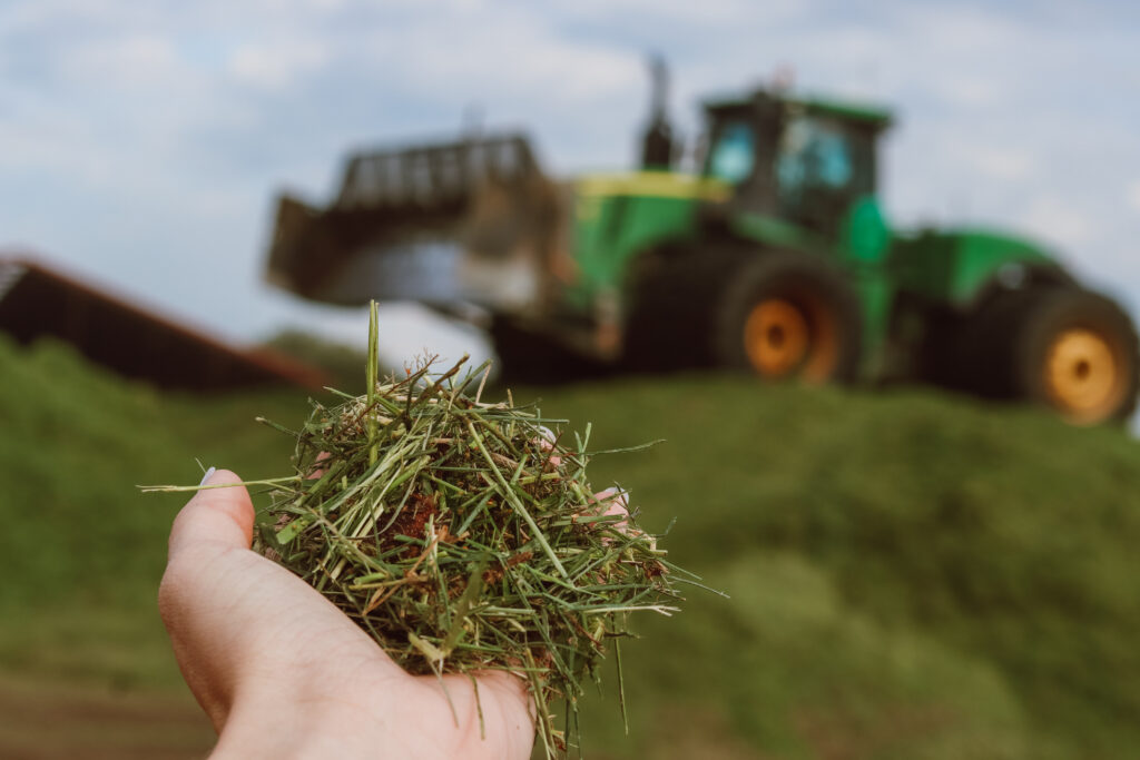 SILAGE SEASON HAS STARTED